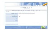 Comune di SILVI CAPITOLATO SPECIALE D’APPALTOb2d9e023-36fc-42d5...Regolamento generale: il D.P.R. 207 del 5 Ottobre 2010 - Regolamento di esecuzione ed attuazione del Codice dei