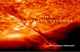 IL SOLE, UNA STELLA VIVENTE Sole.pdf · 2015. 2. 4. · Il Sole è la stella a noi più vicina, e quindi più facilmente osservabile e studiabile. Le scoperte fatte in questo modo