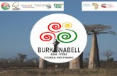(TERRA DEI PADRI) BAA -YIIRI · 2018. 12. 12. · dell'associazione Song Taaba ADESIB di continuare il processo di collaborazione con la rete di partenariato del progetto Burkinabell.