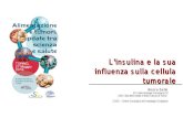 L’insulina e la sua influenza sulla cellula tumorale · 2016. 6. 16. · -terapia insulinica. L’insulina e la sua influenza sulla cellula tumorale ... (HOMA) • Pts serum prevented