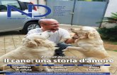 Animali domestici Il cane: una storia d'amore...4 Ottobre 2020 Ottobre 2020 5 sommario n. 08/2020 Medicina, Salute, Alimentazione, Benessere, Turismo e Cultura Anno 1 - N 8 - Ottobre