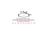 Aosanpio.it – Azienda Ospedaliera San Pio – Benevento · Web viewLinee Guida n. 1309/16 ha deciso di istituire “ un registro delle richieste di accesso presentate (per tutte