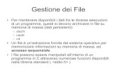 Gestione dei File - unibo.it · 2006. 1. 31. · Gestione dei File • Per mantenere disponibili i dati tra le diverse esecuzioni di un programma, questi si devono archiviare in file