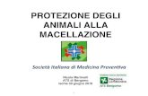 PROTEZIONE DEGLI ANIMALI ALLA MACELLAZIONE · 2017. 9. 22. · Nicola Martinelli ATS di Bergamo Protezione degli animali alla macellazione Macellazione di volatili da cortile , di