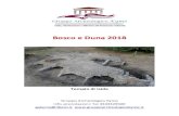 Bosco e Duna 2018 - Gruppo Archeologico Kyme · 2018. 4. 7. · tempo dei gladiatori per poi arrivare all’invenzione della polvere da sparo. Vivremo un’atmosfera magi a per grandi