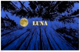 LUNA - GAEEB · 2019. 4. 3. · Mese Lunare = 29gg 12h 44min 3s. C2 General ECLISSE LUNARE Durata di diverse ore dovuta alla differenza di dimensioni tra Sole, Terra e Luna Diametro