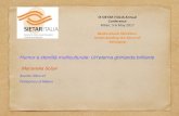 IX SIETAR ITALIA Annual...IX SIETAR ITALIA Annual Conference Milan, 5-6 May 2017 Multicultural Identities: Understanding the Sense of Belonging Humor e identità multiculturale: Un'eterna