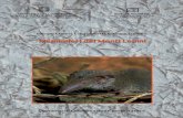 Mammiferi dei Monti Lepini - homepage — Italiano · 2017. 2. 8. · ISSN 1592-2901 Mammiferi dei Monti Lepini. La collana “Quaderni di Conservazione della Natura” nasce dalla