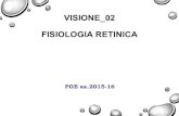 VISIONE 02 FISIOLOGIA RETINICA...VISIONE_02 FISIOLOGIA RETINICA FGE aa.2015-16 OBIETTIVI • Struttura della retina e cellule retiniche • Fotorecettori (coni e bastoncelli) • Pigmenti
