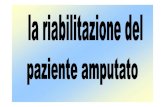 CAUSE DI AMPUTAZIONE - Fisiokinesiterapiafisiokinesiterapia-news.it/download/riabamp.pdf · arto superiore tipi di amputazione 1. amputazione interscapolo-toracica 2. disarticolazione