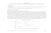EQUILIBRIO SÓLIDO-VAPOR DEL CARBAMATO AMÓNICO termo/Laboratori/Termodinamica/... · PDF file 2013. 2. 21. · Práctica: Equilibrio sólido-vapor del carbamato amónico. Prof. José