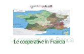 ricerca definitiva francia - cooperazione COOP IN... · 2019. 4. 29. · 2.3 Il gruppo E. Leclerc ... 30 giugno 2007, composta da 42 membri fra loro eterogenei per formazione, esperienza