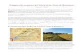 Viaggio alla scoperta dei Vini e delle Terre di Bratislava Strada del Vino dei Piccoli Carpazi.pdf · 2009. 3. 4. · Viaggio alla scoperta dei Vini e delle Terre di Bratislava di