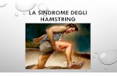 La sindrome degli hamstring - Marcia dal Mondo · 2015. 3. 12. · generalmente l’attivitÀ di corsa non È impedita totalmente ma, in ogni caso, fortemente limitata. in genere