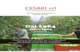 Dal 1964 - Cesari Srl · 2020. 11. 7. · CESARI SRL MULTIPLEX 01 Attrezzature multifunzionali per la ripulitura di frutteti e vigneti Multifunctional equipment for orchards and vineyards