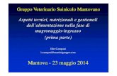 Gruppo Veterinario Suinicolo Mantovano Aspetti tecnici, … · 2014. 7. 14. · Aspetti tecnici, nutrizionali e gestionali dell’alimentazione nella fase di magronaggio-ingrasso
