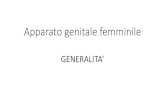Apparato genitale femminile...Apparato genitale femminile Author nicola bernabo Created Date 4/27/2016 10:20:04 PM ...