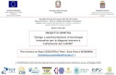 Presentazione standard di PowerPoint...POLITECNICO DI BARI (DICATECH-PROF. GIAN PAOLO SURANNA) I^ WORKSHOP-Progetto Demetra, Lecce 10 Maggio 2019 TGA-DSC characterization of CCNs (black
