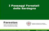 I Paesaggi Forestali della Sardegna · 2016. 12. 15. · della stesura del PPR relativo agli ambiti di paesaggio rurale delle aree interne, all’attività di ricerca scientifica