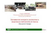 Consistenza comparto zootecnico e descrizione dell’attività ... - Sardegna …sardegnaagricoltura.it/documenti/14_43_20161219115740.pdf · 2016. 12. 19. · Consistenza Suini Sardegna