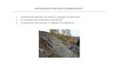 1. Sistemazioni Idraulico-Forestali e strategie di intervento 2. La … · 2020. 2. 13. · La sistemazione, la conservazione e il recupero del suolo nei bacini idrografici, con interventi