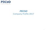 PECSO · 2020. 3. 4. · Tiziana Cobelli (Back Office ) Tiziana Baruffaldi (Back Office) Alessandro Castellini (Area Manager) tel. 0376 659447 tel. 0376 659059 cell. 335 1598779 tizianacobelli@pecso.it