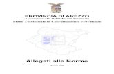 PROVINCIA DI AREZZO · 2019. 4. 8. · norme CNR è in corso di redazione da parte della Provincia di Arezzo. 5 3. CASELLO AUTOSTRADALE DI AREZZO. TIPOLOGIA: Appartiene al sistema