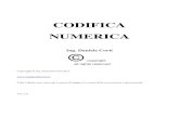 CODIFICA NUMERICA · In questa codifica i numeri, interi, vengono tradotti in sequenze binarie. Con 8 bit (n bit) possiamo memorizzare (codificare) 256 simboli differenti. Se i simboli