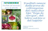 tipo “Rosa di Gorizia”, del - WordPress.com · 2013. 3. 20. · Prova sperimentale “Rosa di Gorizia” Migliorare lo stato fitosanitario delle piante in campo per ridurre le