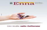 Uno studiosullo Zafferano - Enna 04.pdf · 2021. 1. 12. · 2 I comuni . editoriale Le foto, i manoscritti, anche se non pubbli-cati non saranno restituiti ai legittimi proprietari.
