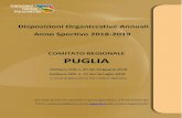 Disposizioni Organizzative Annuali Anno Sportivo 2018-2019 · 2018. 7. 27. · Disposizioni Organizzative Annuali Anno Sportivo 2018-2019 COMITATO REGIONALE PUGLIA Delibera CDR n.