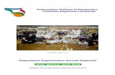 Federazione Italiana Pallacanestro Comitato Regionale …Disposizioni Organizzative Annuali Regionali Anno sportivo 2015-2016 Deliberate dal Consiglio Direttivo Regionale del 11/6/2015