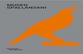 MUSeo SPaLLanzani · 2018. 5. 15. · Lazzaro Spallanzani, nato a Scandiano nel 1729 e morto a Pavia nel 1799, è tra i protagonisti di quell’evoluzione del pensiero e del metodo