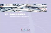 12. ANISAKIS - Alimenti & Salute · 2017. 6. 5. · Anisakis in Italia sono stati complessivamente 54, concentrati soprattutto nelle regioni costiere. Una volta ingerita, la larva