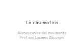 Biomeccanica del movimento Prof.ssa Luciana ZaccagniCinematica • La cinematica è lo studio del movimento e si propone di descriverlo, senza occuparsi di ciò che lo ha causato.