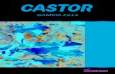 GAMMA 2014 - Giardina MotoCP 40 Cilindrata 40,1 cc Potenza 1,50 Kw - 2,00 Hp Barra16” / 40 cm Catena3/8” .050” (91VG - 57E) Pompa olioAutomatica regolabile Peso netto4,70 Kg