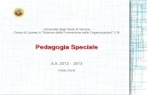 Università degli Studi di Verona - Pedagogia Speciale · 2012. 12. 11. · all'accesso ai servizi e all'evidenza dei bisogni. L'iniziativa privata a sostegno dei servizi per la collettività