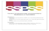 Centro professionale sociosanitario Giubiasco e Canobbiosspss.ch/site/files/Opuscolo 2018-2019.pdf · 2019. 2. 26. · CPS Giubiasco-Canobbio SSPSS Scuola specializzata per le professioni