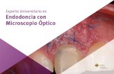 Experto Universitario en Endodoncia con Microscopio Óptico · Licenciado en Odontología por la Universidad Europea de Madrid. Máster en Endodoncia. Miembro Titular de la Asociación