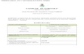 INTERNO - Home Page | Comune di Tortolì · 2019. 5. 8. · 1. Obiettivo prioritario del Comune di Tortolì, come stabilito nella delibera di Giunta Comunale n. 98/2015 è la concessione