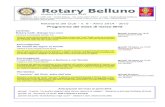 marzo 2015 Rotary Belluno marzo 15...2 otar elluno maro 21 FOCUS (In questa rubrica riportiamo gli abstract delle relazioni dell’anno rotariano 2014-2015. Conviviale del 12 febbraio