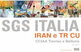 IRAN e TR CU...ASME Offriamo servizi come A.I.A. 8 GOVERNMENTS & INSTITUTIONS (GIS) Offriamo una vasta gamma di servizi riguardanti il commercio dei beni e delle merci, finalizzata