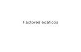 Factores edáficos - Recinto Universitario de Mayagüezjchinea/cursos/ecolplt/suelos... · 2012. 9. 26. · Una lista parcial de factores edáficos relevantes • Textura • Humedad