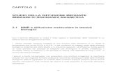 CAPITOLO 2 STUDIO DELLA DIFFUSIONE MEDIANTE IMMAGINI DI RISONANZA …etsrm.it/doc_rubriche/154-012-02Capitolo2.pdf · 2008. 6. 9. · STUDIO DELLA DIFFUSIONE MEDIANTE IMMAGINI DI
