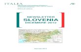 Newsletter Slovenia - Dicembre 2012 · 2013. 3. 22. · CEHOV Il Gruppo bancario italiano UniCredit ha acquistato, attraverso la sua controllata russa UCTAM (che gestisce investimenti