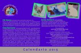 Calendario 2015 - Gattile San Lazzaro · 2014. 12. 11. · Lettera destinata a chi apre questo calendario 2015. ... positivi alla fiv o alla felv e altro ancora. Per le adozioni a