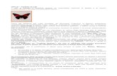 OPT16 – Farfalle di Call - Francesco Caranti Opzioni pdf... · 2016. 4. 19. · Rispetto al Condor, presenta un “picco (cuspide) di massimo guadagno” in corrispondenza dei 2
