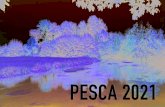 PESCA 2021 - Bacino Astico Leogra ... TM 1 Norme per l’esercizio della pesca – Anno 2021 REGOLAMENTAZIONE DELLA PESCA L’esercizio della pesca è disciplinato: • dai Regi Decreti