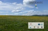 Guida per gli agricoltori - SUN LIFE Umbria• Legge regionale 9 aprile 2015 , n. 12 Testo unico in materia di agricoltura; • Decreto del Presidente della Repubblica 8 settembre