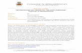 COMUNE DI BERNAREGGIO · 2019. 3. 7. · COMUNE DI BERNAREGGIO Provincia di Monza e della Brianza Via S. Pertini, 46 20881 Bernareggio, MB | C.F. 87001490157 ... l’aessiilità alla